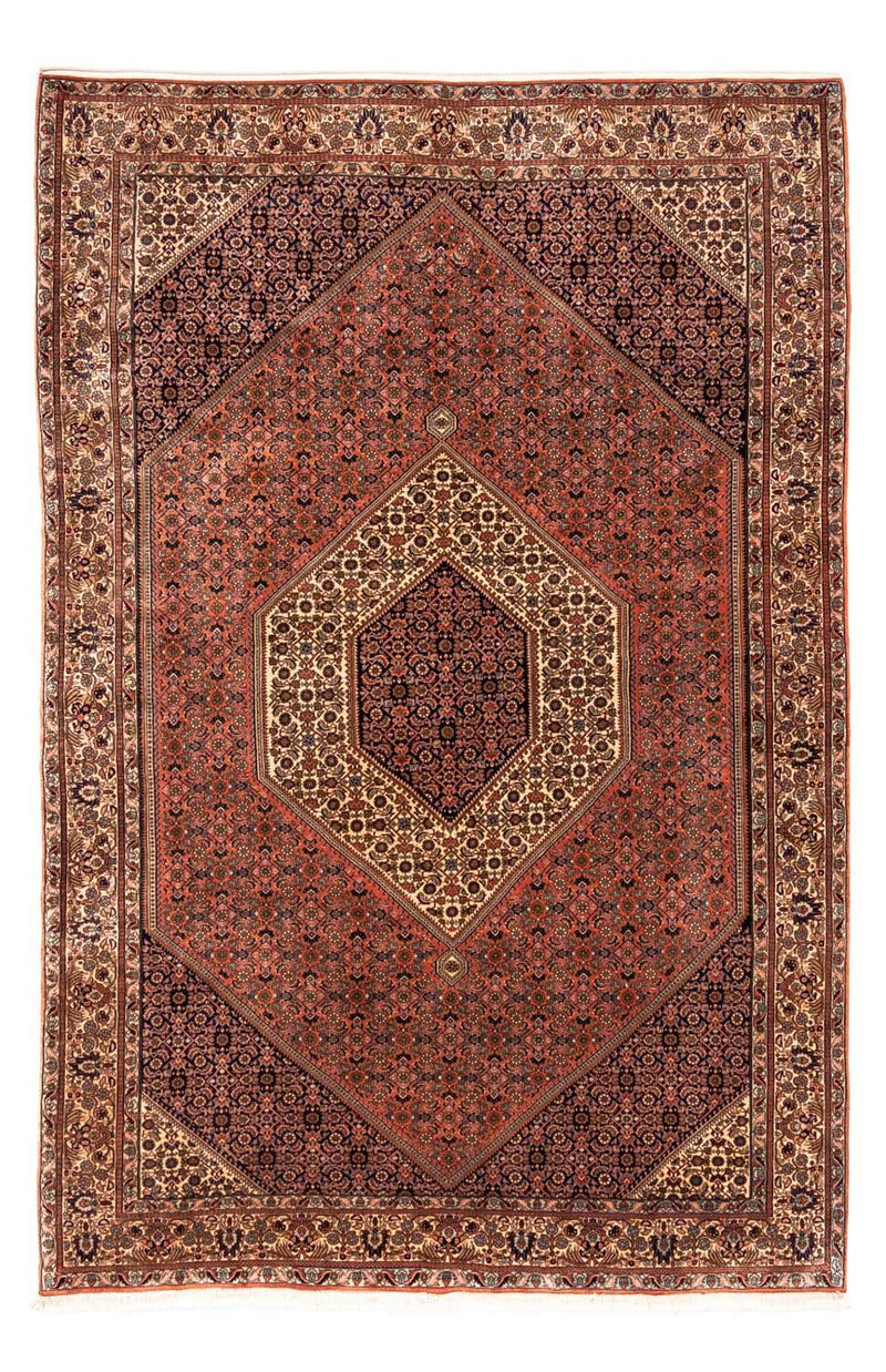 ビジャー - タカブ 絨毯 291x202cm - ペルシャ絨毯