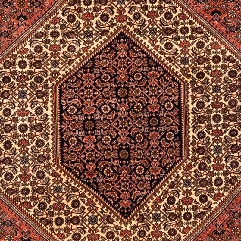 ビジャー - タカブ 絨毯 291x202cm - ペルシャ絨毯