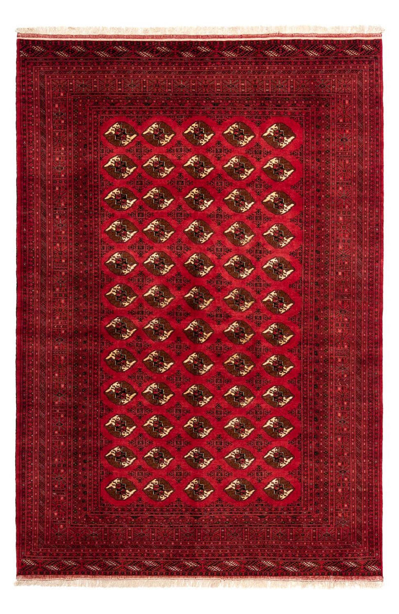 シーラーズ 絨毯 290x203cm - ペルシャ絨毯