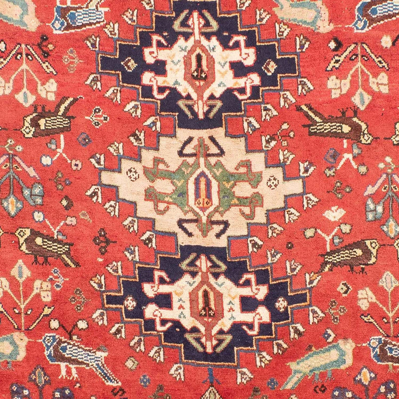 シーラーズ 絨毯 257x205cm - ペルシャ絨毯