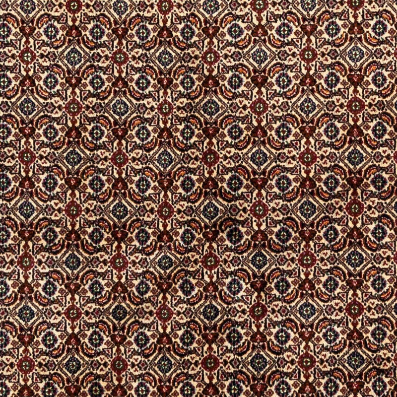 モウド 絨毯 238x169cm - ペルシャ絨毯