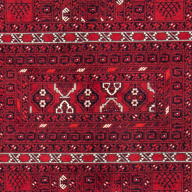 トルカマン絨毯 246x157cm - ペルシャ絨毯