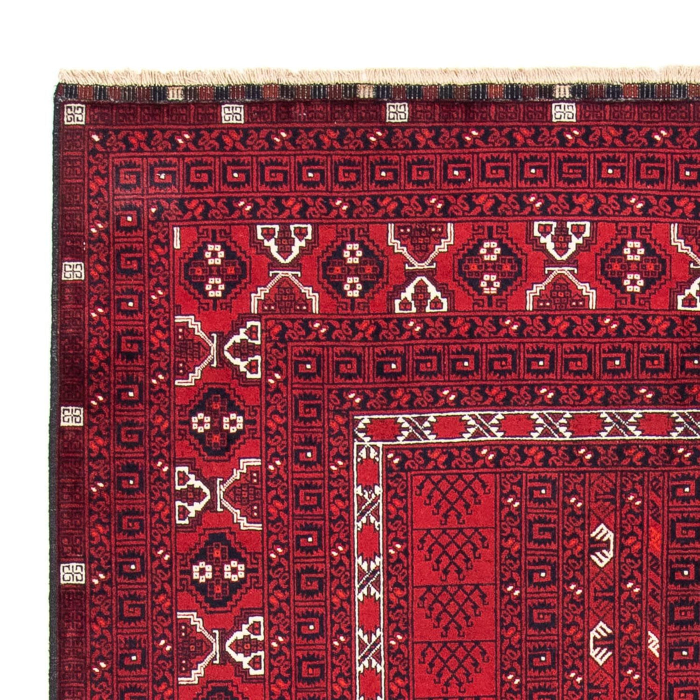 トルカマン絨毯 246x157cm - ペルシャ絨毯