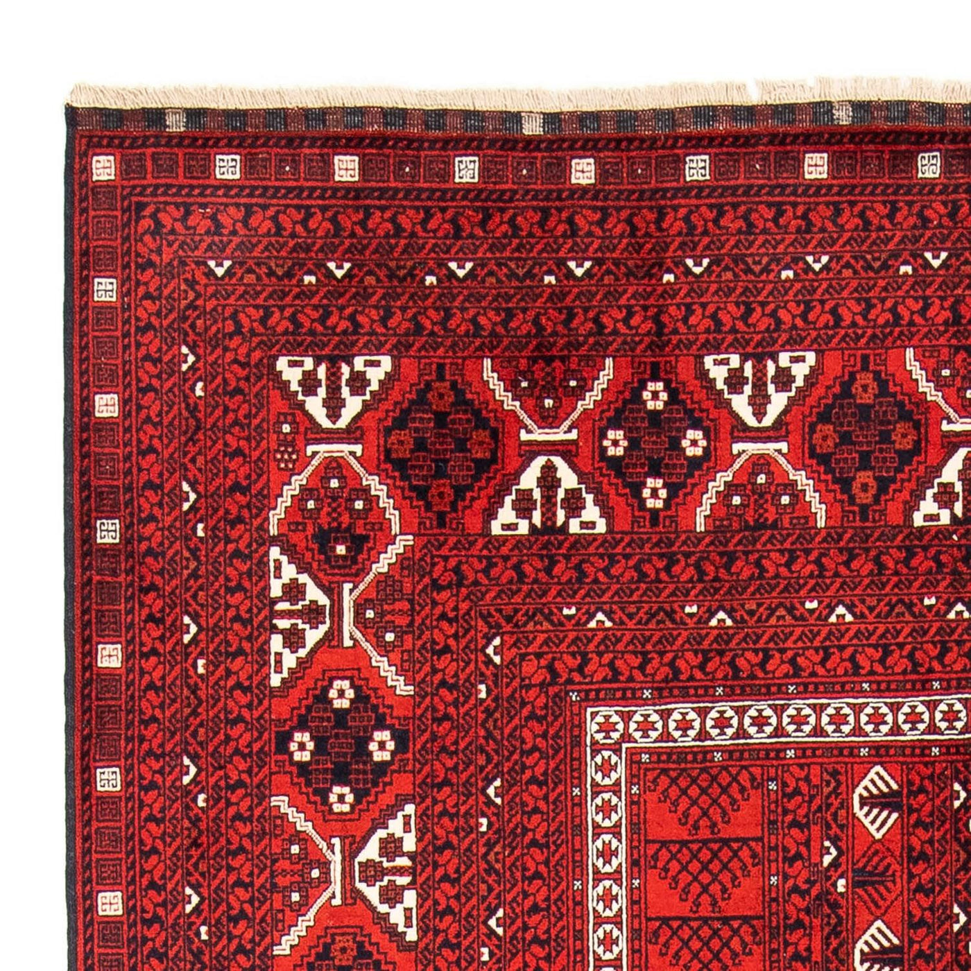 トルカマン絨毯 243x160cm - ペルシャ絨毯