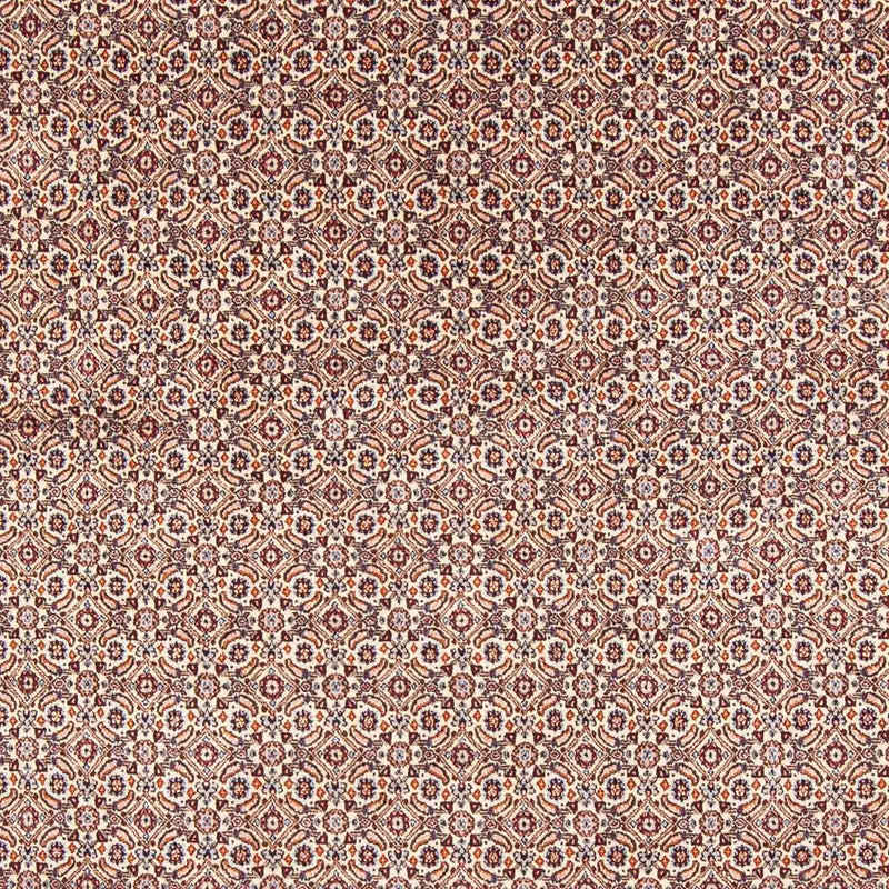 モウド 絨毯 244x196cm - ペルシャ絨毯