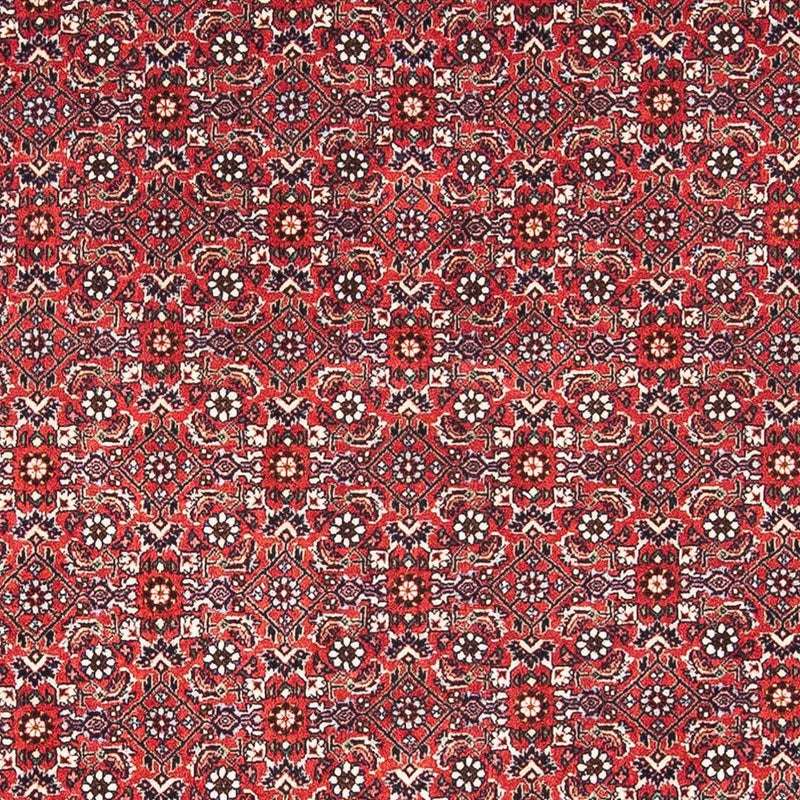 ビジャー 絨毯 174x111cm - ペルシャ絨毯