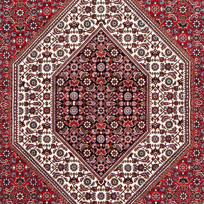ビジャー 絨毯 250x149cm - ペルシャ絨毯