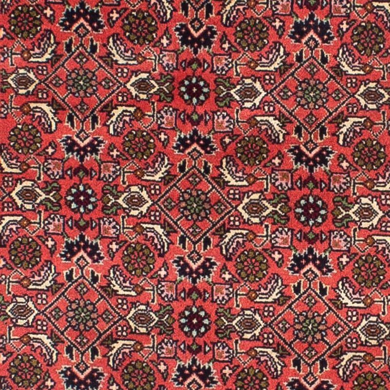 ビジャー 絨毯 248x71cm - ペルシャ絨毯