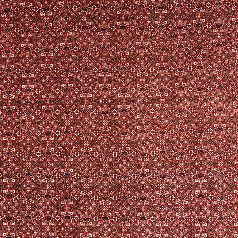 ビジャー 絨毯 330x246cm - ペルシャ絨毯