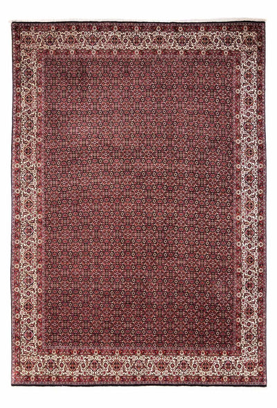 ビジャー - タカブ 絨毯 246x345cm - ペルシャ絨毯