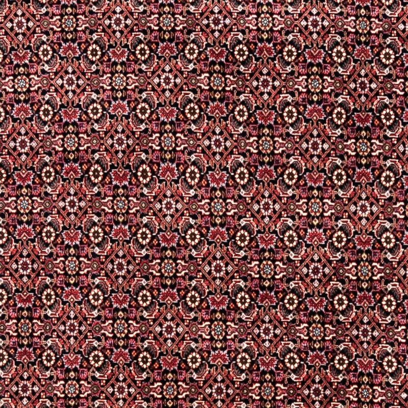 ビジャー - タカブ 絨毯 345x246cm - ペルシャ絨毯