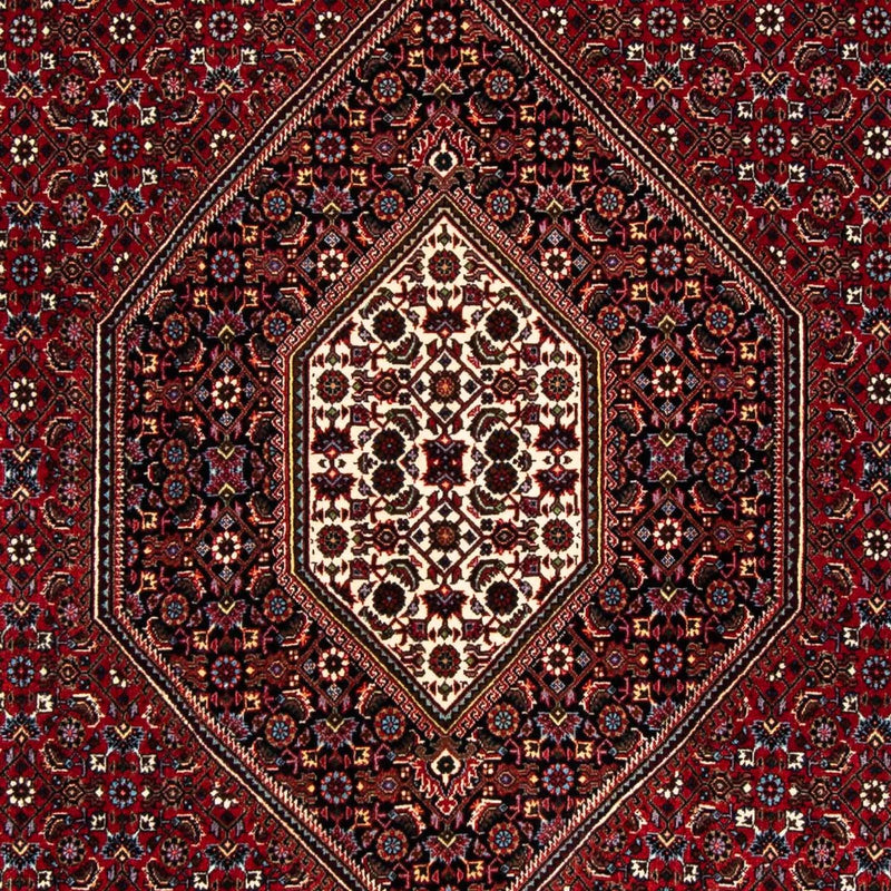ビジャー 絨毯 248x148cm - ペルシャ絨毯