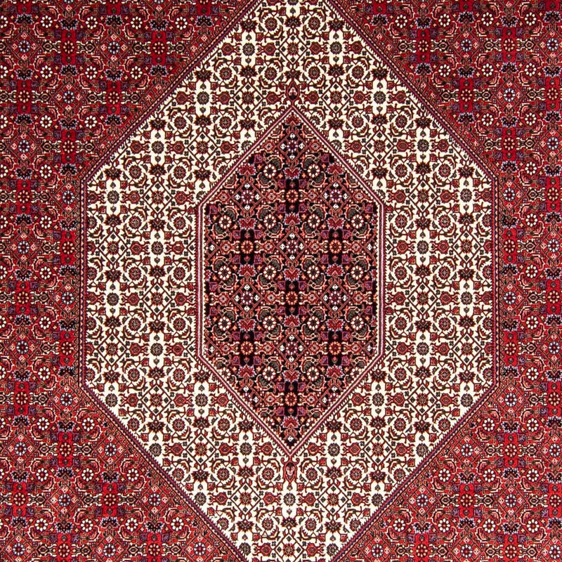 ビジャー 絨毯 336x248cm - ペルシャ絨毯