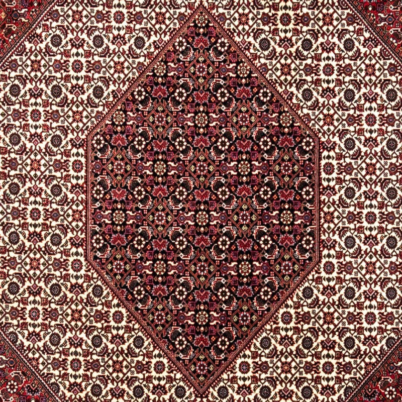 ビジャー - タカブ 絨毯 360x251cm - ペルシャ絨毯