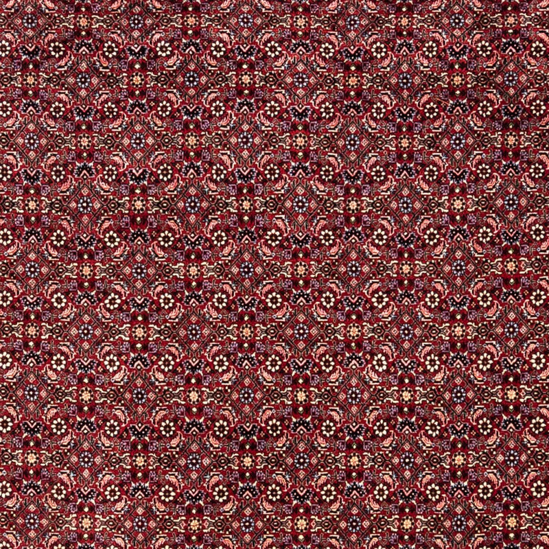 ビジャー - タカブ 絨毯 349x250cm - ペルシャ絨毯