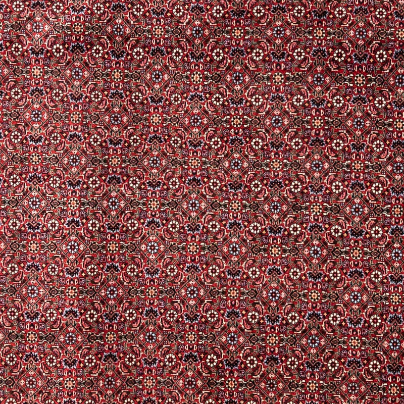ビジャー - タカブ 絨毯 335x255cm - ペルシャ絨毯