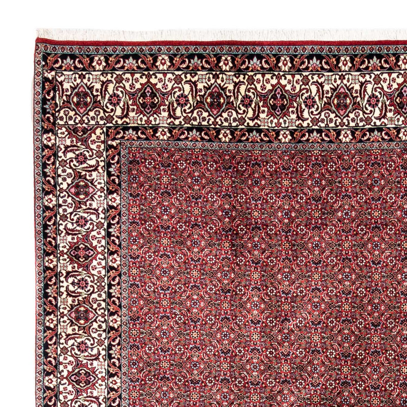 ビジャー - タカブ 絨毯 335x255cm - ペルシャ絨毯