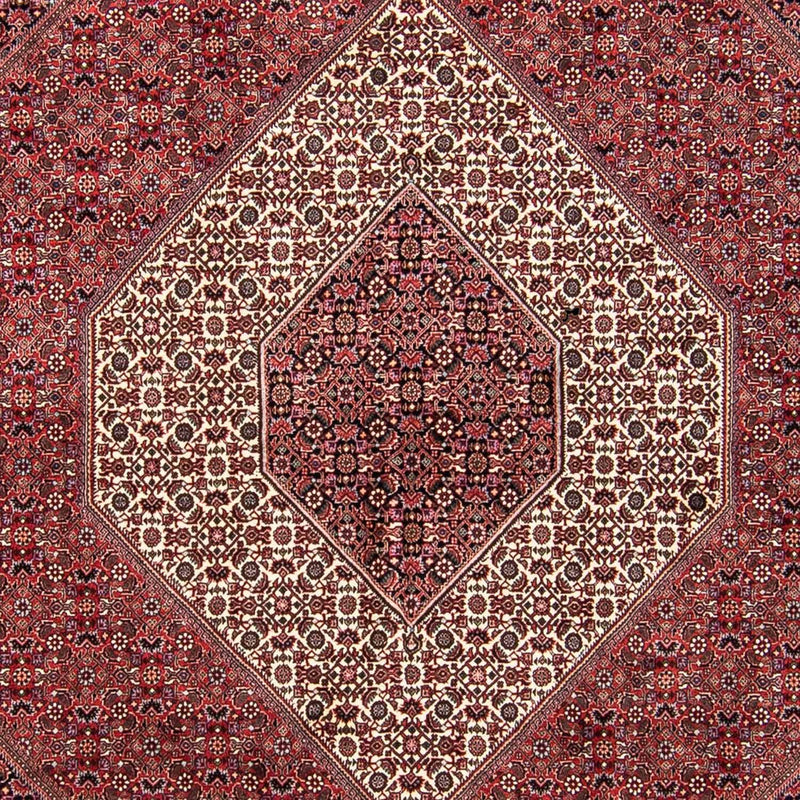 ビジャー 絨毯 293x248cm - ペルシャ絨毯
