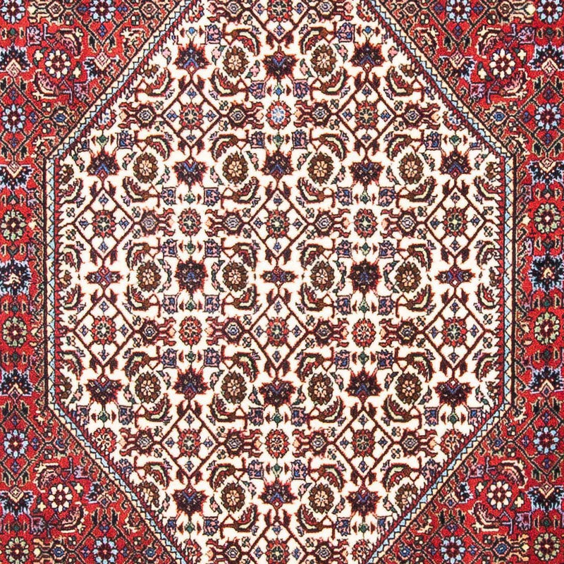 ビジャー 絨毯 180x109cm - ペルシャ絨毯