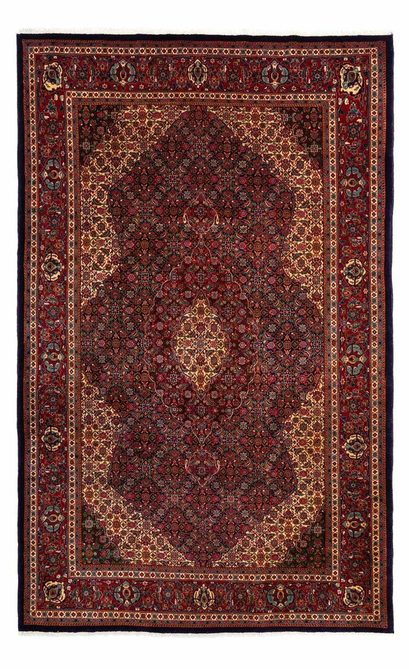 サルーク 絨毯 307x208cm - ペルシャ絨毯