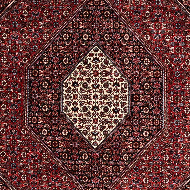 ビジャー 絨毯 241x170cm - ペルシャ絨毯