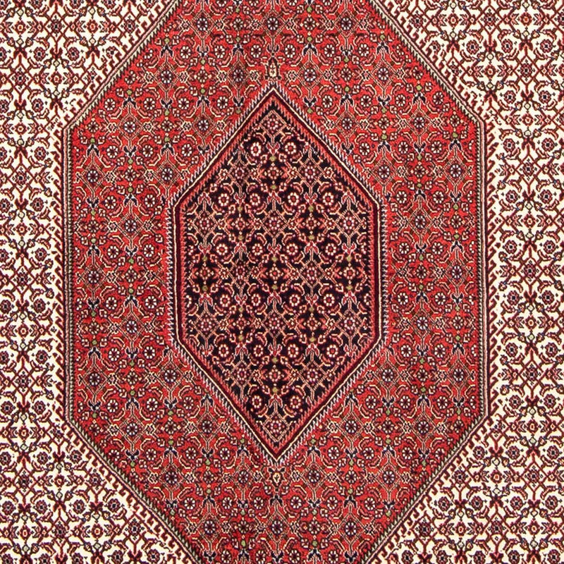 ビジャー 絨毯 238x140cm - ペルシャ絨毯