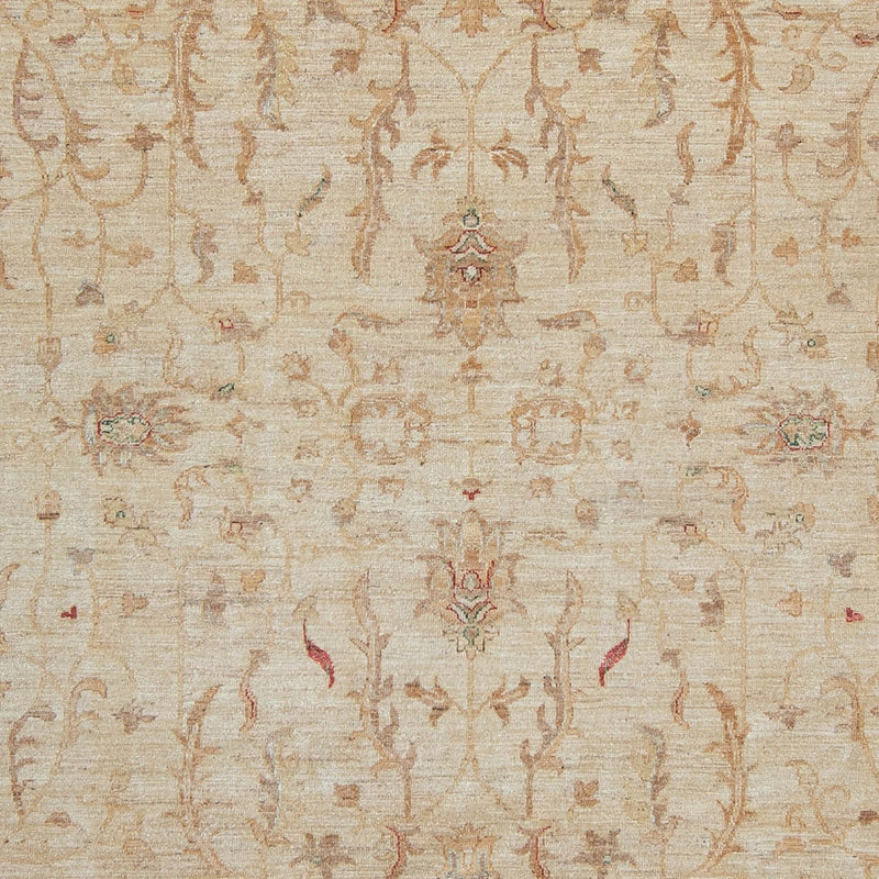 ツィーグラー絨毯 347x245cm - オリエンタル絨毯
