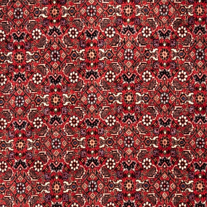 ビジャー - タカブ 絨毯 345x253cm - ペルシャ絨毯