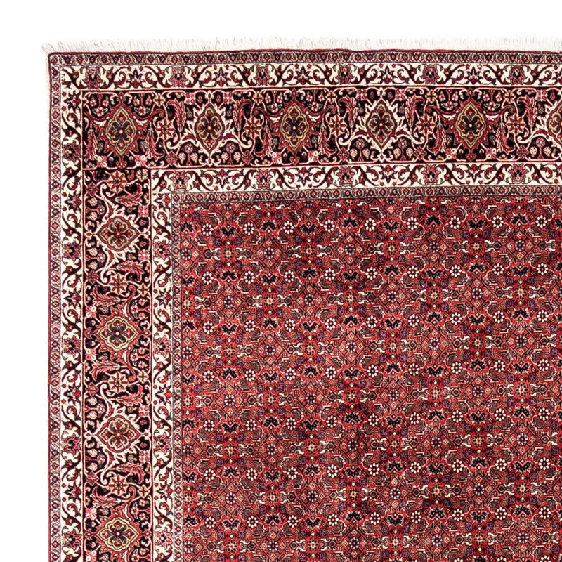 ビジャー - タカブ 絨毯 345x253cm - ペルシャ絨毯