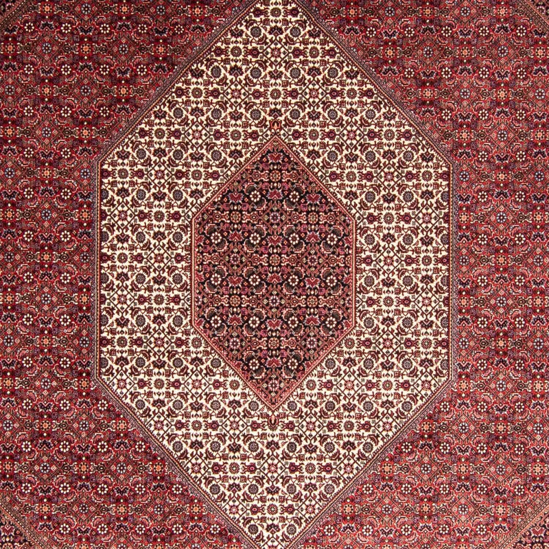 ビジャー 絨毯 344x254cm - ペルシャ絨毯