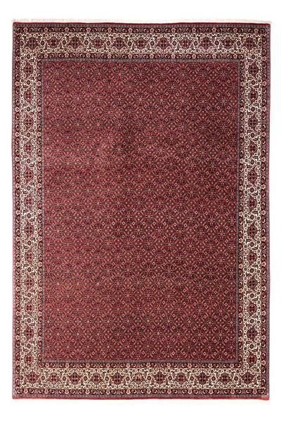 ビジャー - タカブ 絨毯 251x343cm - ペルシャ絨毯