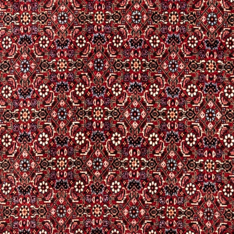 ビジャー - タカブ 絨毯 343x251cm - ペルシャ絨毯