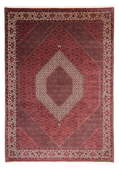 ビジャー 絨毯 254x351cm - ペルシャ絨毯