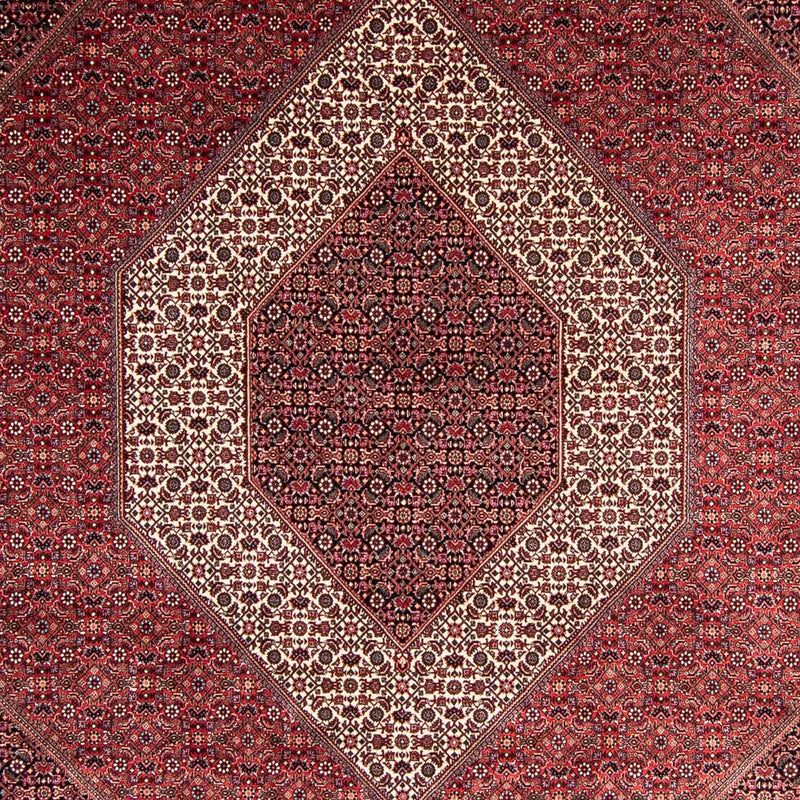 ビジャー 絨毯 351x254cm - ペルシャ絨毯