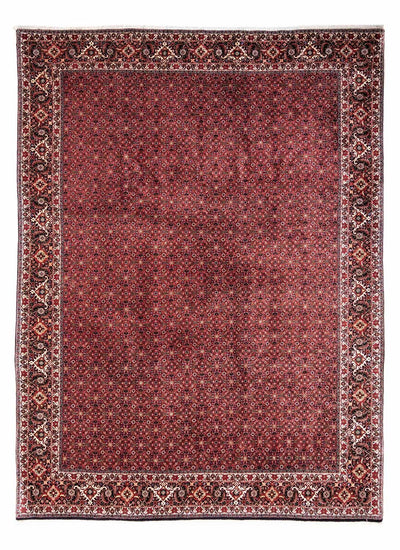 ビジャー - タカブ 絨毯 250x338cm - ペルシャ絨毯