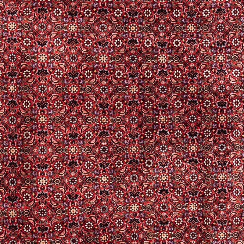 ビジャー - タカブ 絨毯 338x250cm - ペルシャ絨毯