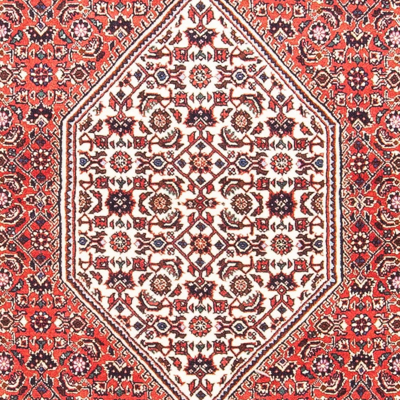 ビジャー 絨毯 151x86cm - ペルシャ絨毯