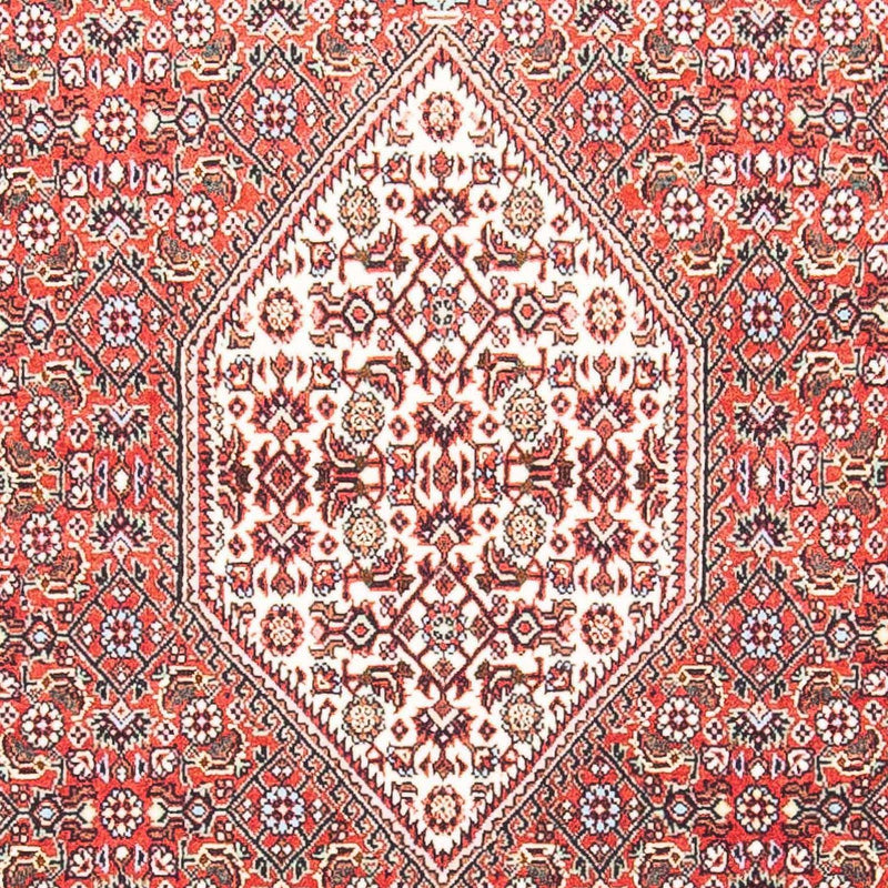 ビジャー 絨毯 156x88cm - ペルシャ絨毯