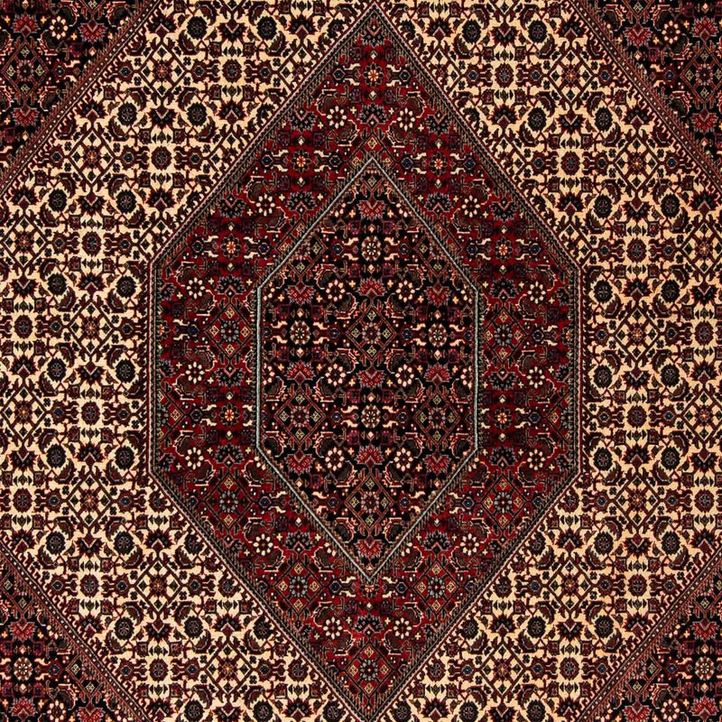 ビジャー 絨毯 248x202cm - ペルシャ絨毯