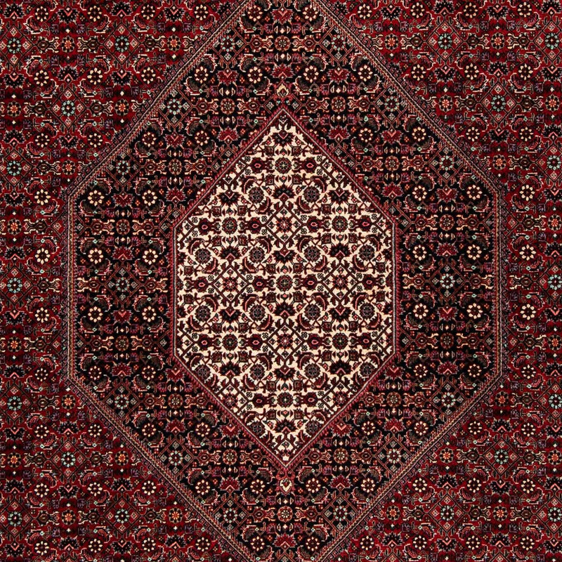 ビジャー 絨毯 258x202cm - ペルシャ絨毯