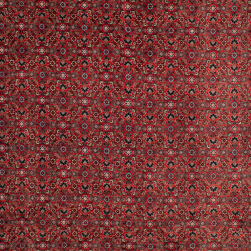 ビジャー 絨毯 295x203cm - ペルシャ絨毯