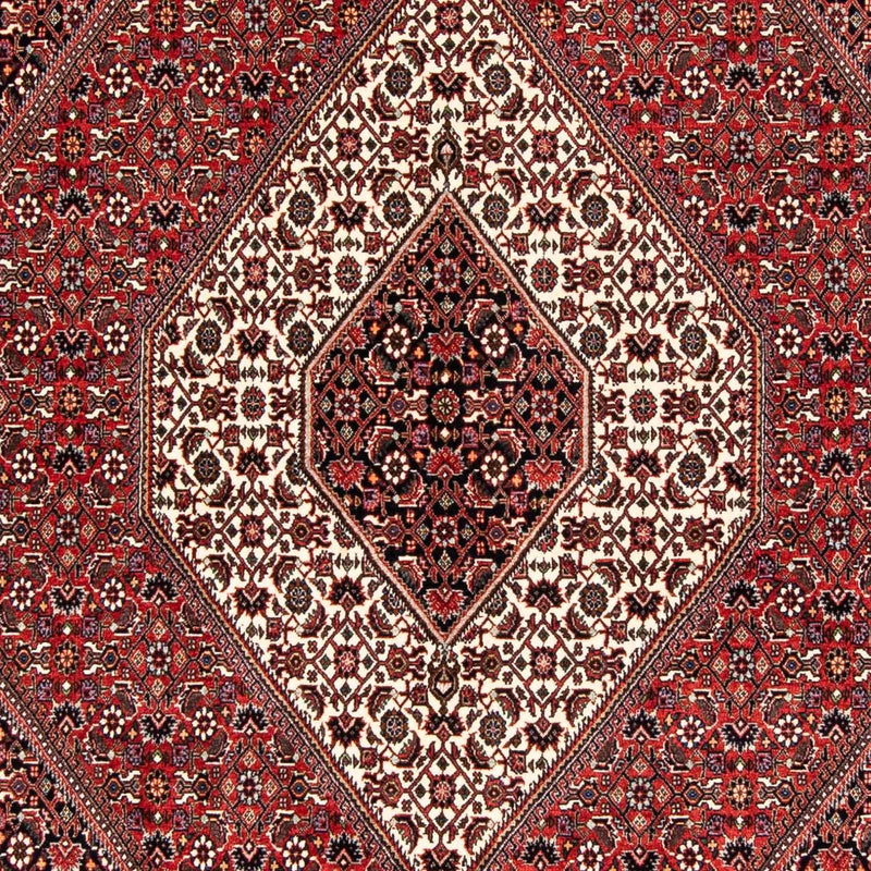 ビジャー 絨毯 243x170cm - ペルシャ絨毯