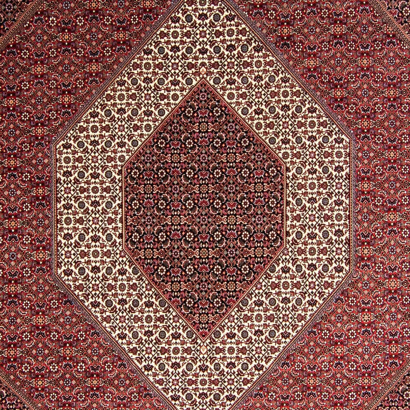 ビジャー 絨毯 354x248cm - ペルシャ絨毯