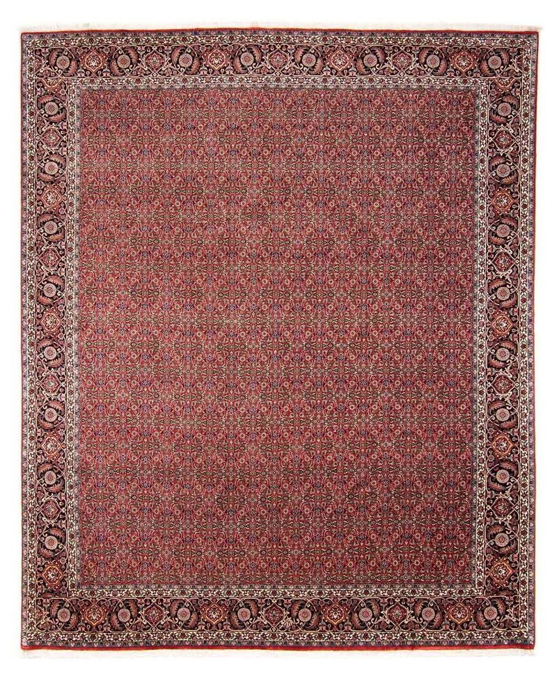 ビジャー 絨毯 300x252cm - ペルシャ絨毯