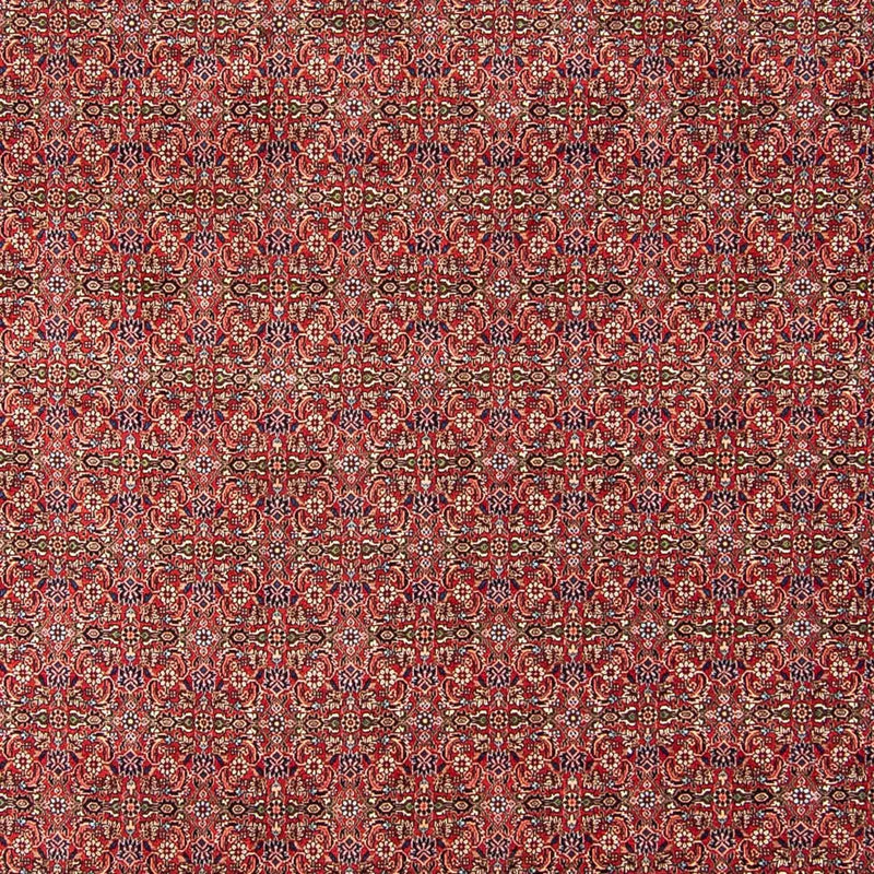 ビジャー 絨毯 300x252cm - ペルシャ絨毯