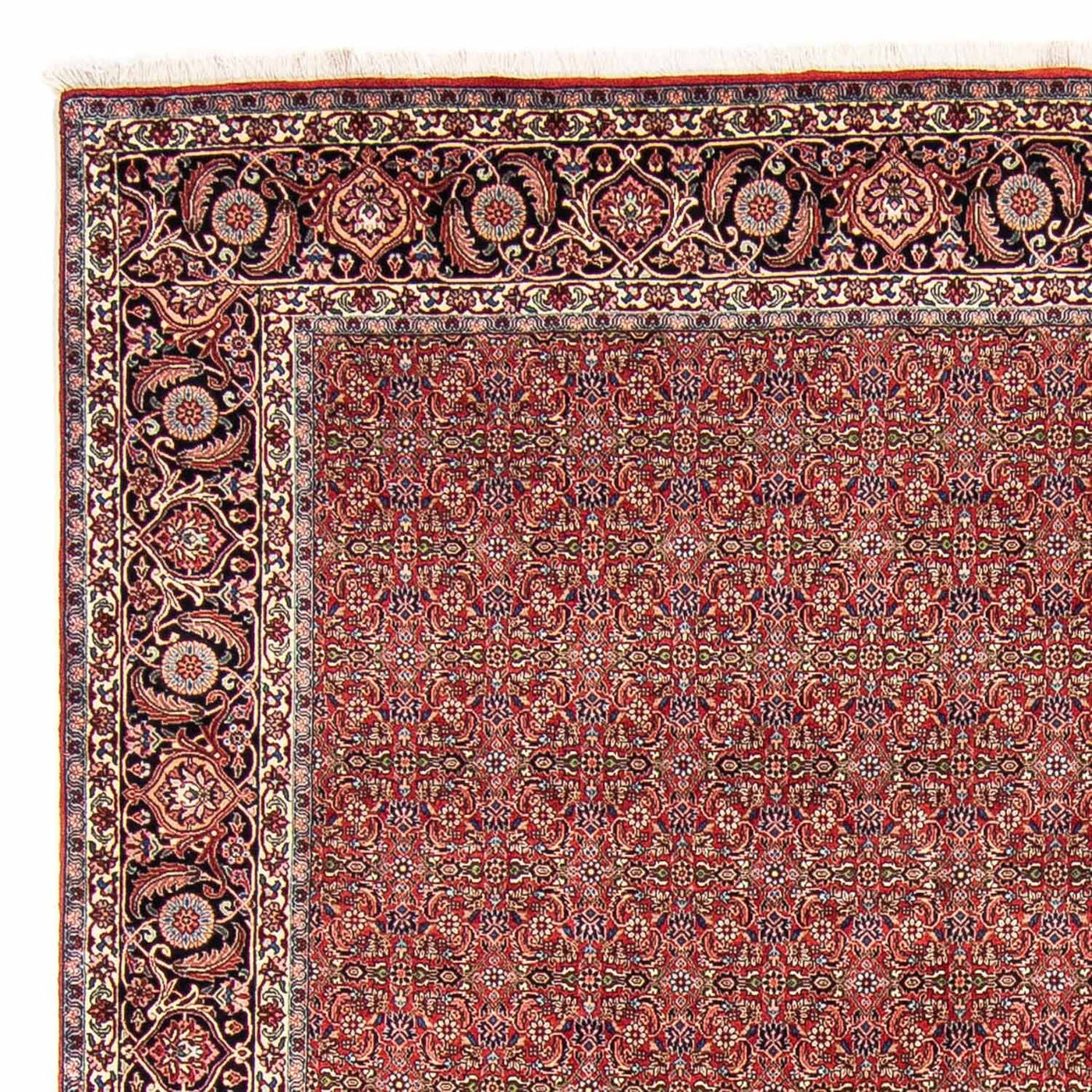 ビジャー 絨毯 300x252cm - ペルシャ絨毯