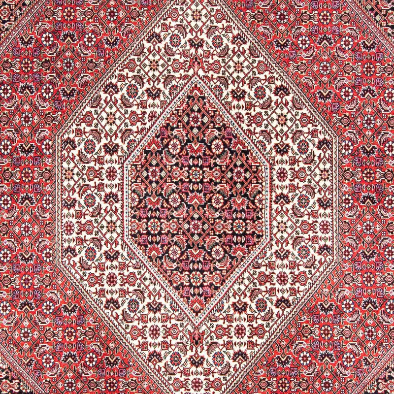 ビジャー 絨毯 243x171cm - ペルシャ絨毯