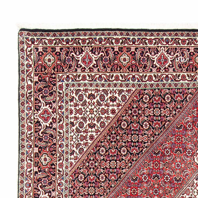 ビジャー 絨毯 243x171cm - ペルシャ絨毯