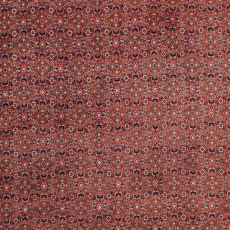 ビジャー 絨毯 299x203cm - ペルシャ絨毯