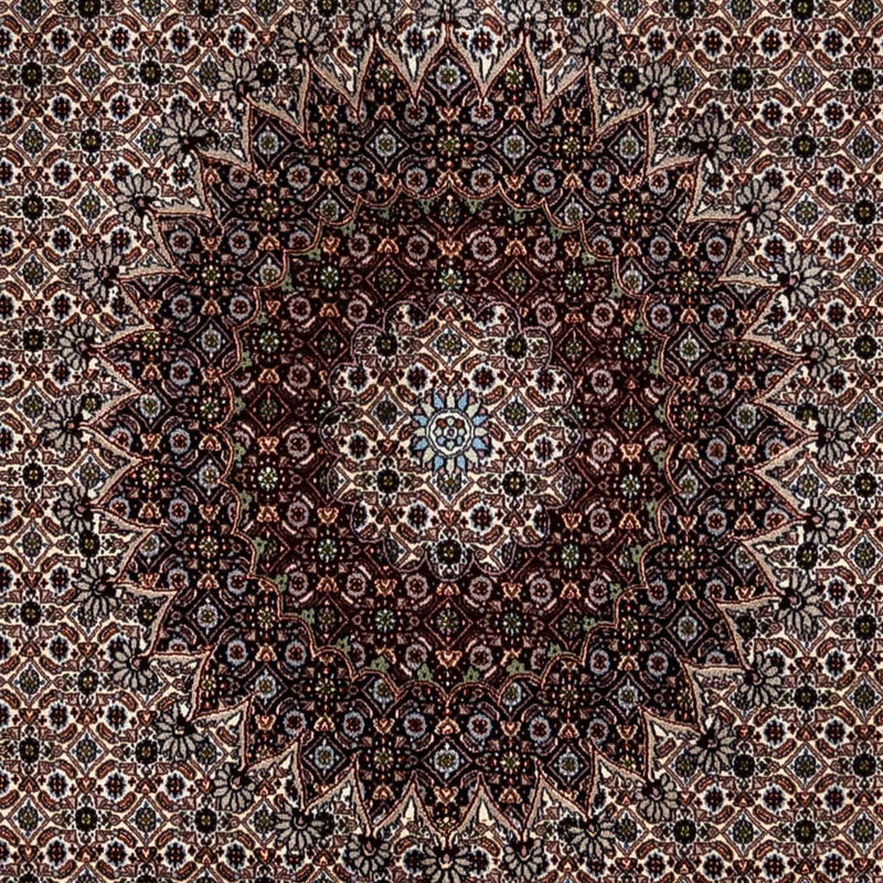 モウド 絨毯 350x245cm - ペルシャ絨毯
